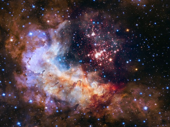 westerlund