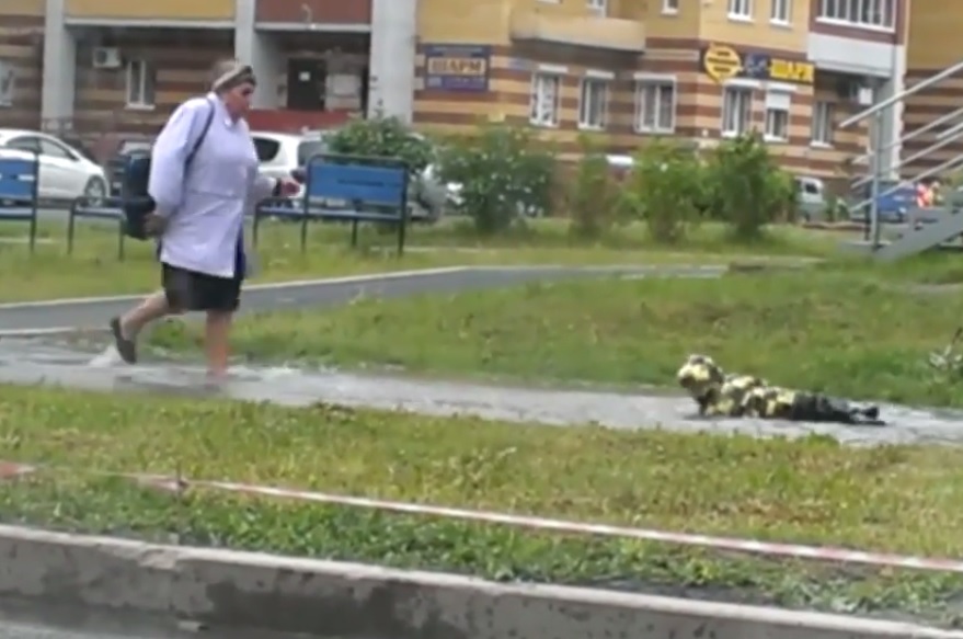 Видео: мальчик прятался от бабушки в центре лужи в Ростове-на-Дону