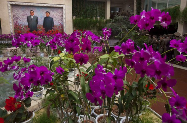 An image of North Korea's late leaders Kim Il Sung and Kim Jong Il hangs at an exhibition of flowers known as Kimjongilia and Kimilsungia in Pyongyang. (AP Photo/David Guttenfelder)