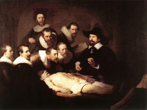 rembrandt_anatomy