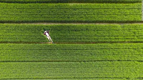 151013112914-dronestagram-grass-china-super-169