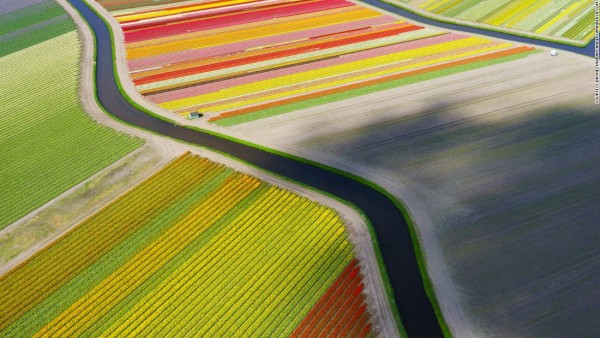 151013162248-dronestagram-tulip-field-super-169