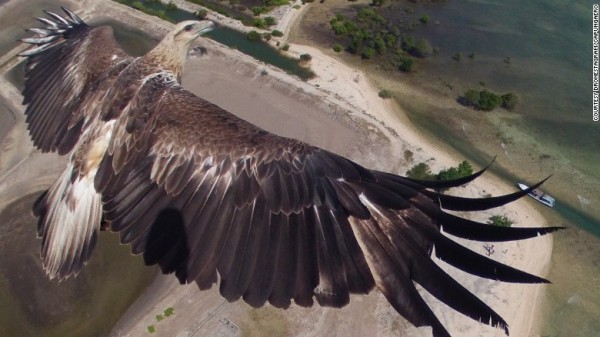 151013171500-dronestagram-eagle-exlarge-169