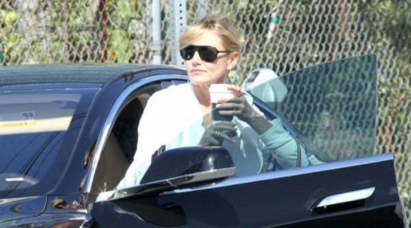 cameron-diaz-rocks-the-tesla-model-s-79113-7