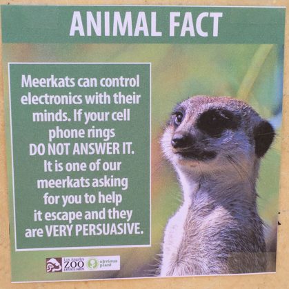 funny-animal-facts-fake-los-angeles-zoo-obvious-plant-4-5776744320022__700