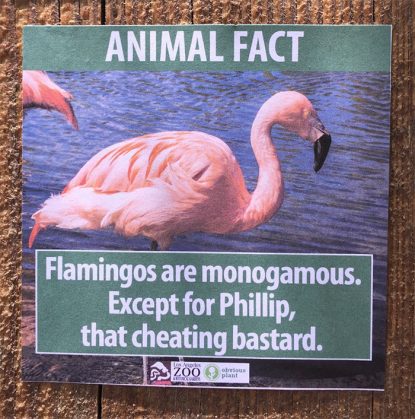 funny-animal-facts-fake-los-angeles-zoo-obvious-plant-9-577674527364e__700