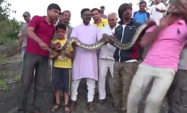 Selfie snake attack https://video.metro.co.uk/video/met/2016/09/28/7415439584242610988/960x540_MP4_7415439584242610988.mp4