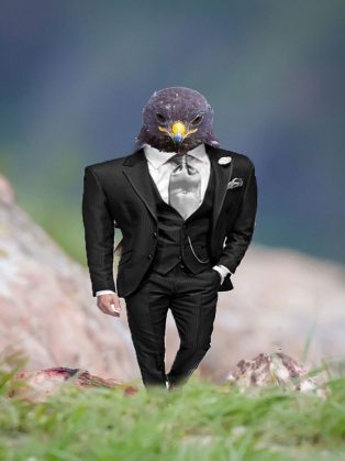 funny-hawk-photoshop-battle-24-57f1fd7a599ab__700