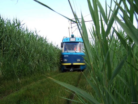 tram-odessa