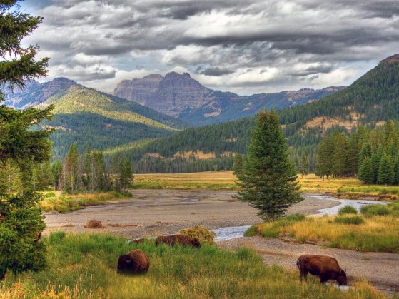 yellowstone-national-park-wyoming-002-jpg-rend-tccom-1280-960