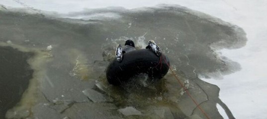 Петербуржец Александр Македонский спас утку, но сам упал в воду