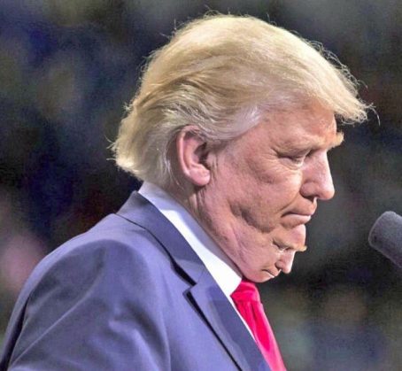 unflattering-donald-trump-chin-photo-ps-battle-11-583ecc59ee14c__700