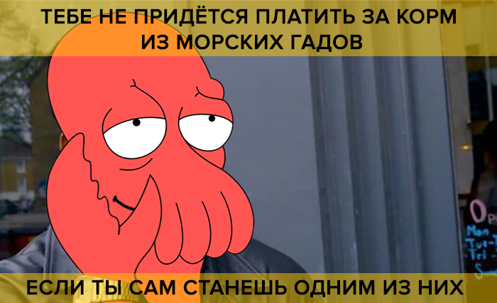 Уплыл в закат. Рэпер из Австралии съел ужин на 600 долларов и прыгнул в море, не заплатив