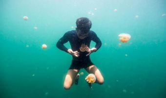 Почему народ морских цыган может находиться под водой фантастически долгое время. Учёные нашли ответ