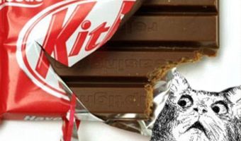 Парень так неправильно откусил Kit Kat, что вмешались кондитеры. Ведь миру угрожал новый вечный спор