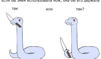 Как змея держала бы нож? Биолог ответил на вопрос-мем, и одной загадкой в этом мире стало меньше