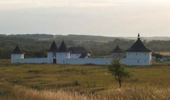 «Твой муж умрёт, а я займу твой дом». Орловская прихожанка рассказала о новой травле местным священником