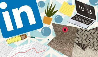 Парень создал аккаунт морского леща на LinkedIn. И его позвали на работу, но это предложение не из лучших