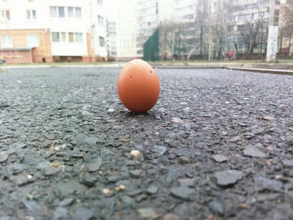 Если поставить яйцо во время затмения, оно не упадёт. Мы провели эксперимент и узнали, как победить гравитацию