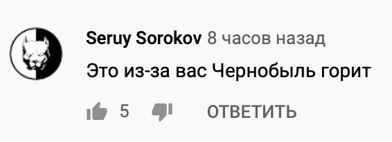 Виновники пожара в Чернобыле - сталкеры, считают власти. Когда он начался, блогеры подожгли землянку и сбежали