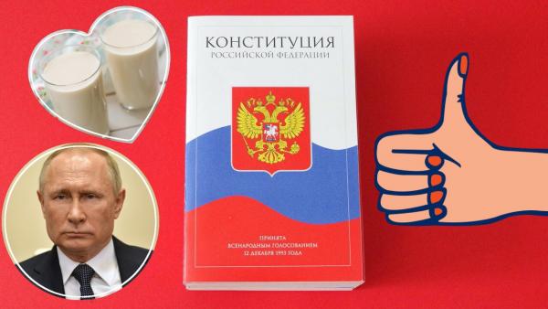 "Никто не может присваивать ряженку в РФ". Голосование отложили, но поправки в Конституцию внесли в твиттере