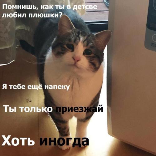 "Хотите, я вам ещё праздник сделаю?" Владимир Путин придумал, как порадовать медработников, а люди смеются