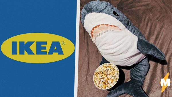 Мемная акула из IKEA заскучала на карантине и завела дневник. Теперь у всех есть шанс повлиять на её судьбу