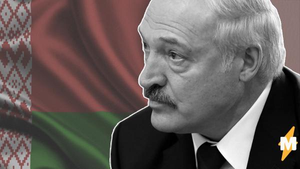 Лукашенко объявил об антикризисных мерах в связи с пандемией. И в них оказалось больше "анти", чем "мер"