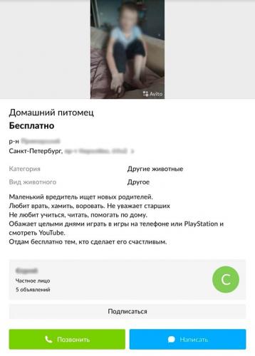 «Маленький вредитель ищет новых родителей». Мужчина пытался продать сына на «Авито», но никто не оценил шутку