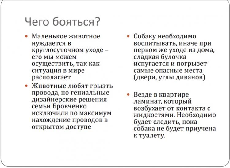 Парень не хотел собаку, но всё поменяла одна презентация. И теперь у него растёт милая пушистая буханка