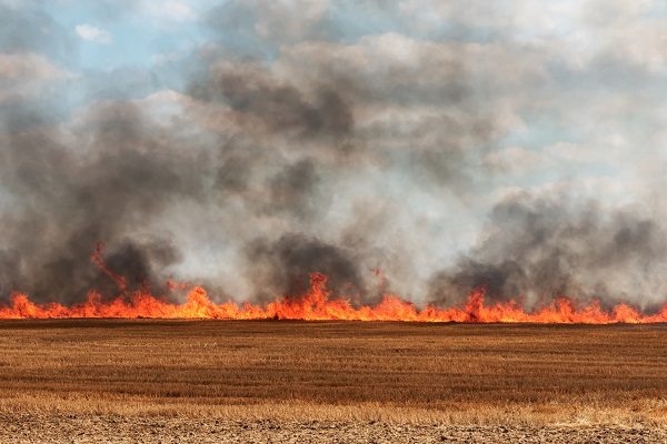 Пожарные прибыли на вызов и поверили в высшие силы. В самом центре пожара остался не тронутым памятник девочке