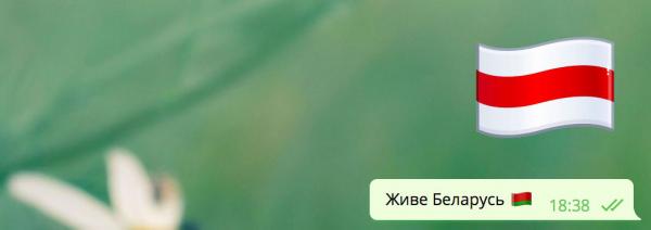 "Я/Мы батька", война стикеров и диверсия Павла Дурова. Как фанаты Лукашенко воюют с оппозицией в интернете