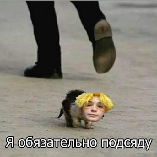 (без названия)