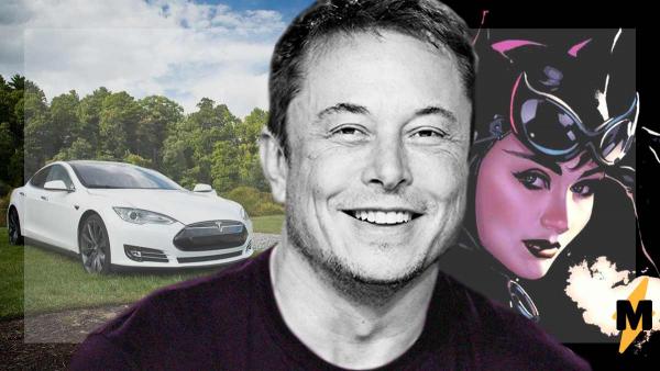 Илон Маск спросил, нужна ли людям девушка-кошка от Tesla. И в реплаях разгорелся пожар из артов и мемов