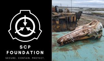 Исследователь нашёл череп странного существа на Севере в воде. А фаны The SCP Foundation дали чудищу номер