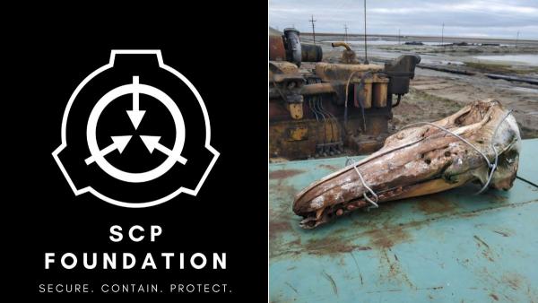 Исследователь нашёл череп странного существа на Севере в воде. А фаны The SCP Foundation дали чудищу номер