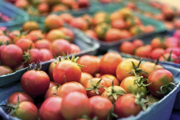 Северянка удивила публику ценами на продукты в Арктике. Это ответ веганам, на который нечего возразить