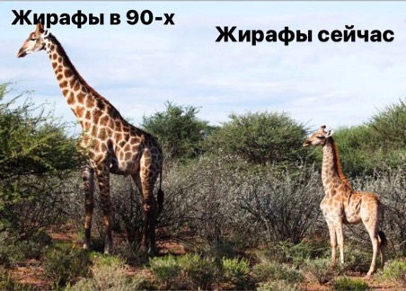 (без названия)