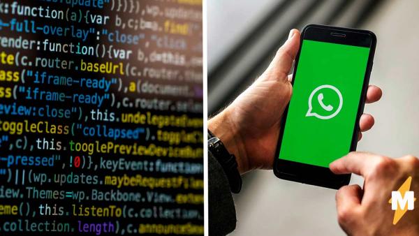 Студент-психолог поговорил с подругой в WhatsApp и потерял аккаунт.