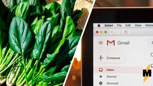 Учёные научили шпинат отправлять имэйлы. В твиттере обеспокоены, но совсем не восстания растений