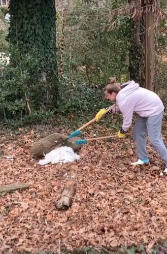 Девушка заглянула в свой заброшенный домик на дереве и не зря. Ведь у него появился хозяин,