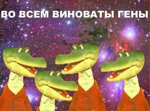 (без названия)