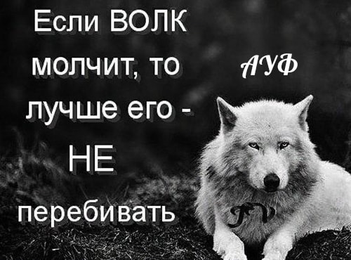 Дмитрий Песков объяснил слова Владимира Путина, и его фраза как мем о волках. Услышав её, люди говорят "ауф"