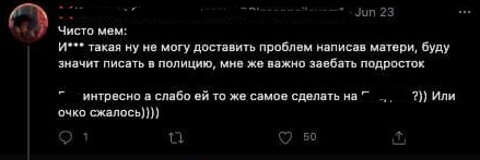 Кто такая Инса? Авторша твиттер-аккаунта стала грозой тех, кто просит деньги в Сети