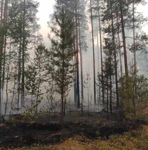 Не видел там ни одного друга. Волонтёр тушит пожары в Марий Эл и доказывает приятелям, что он - мужчина