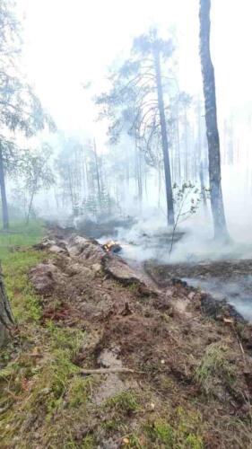 Не видел там ни одного друга. Волонтёр тушит пожары в Марий Эл и доказывает приятелям, что он - мужчина