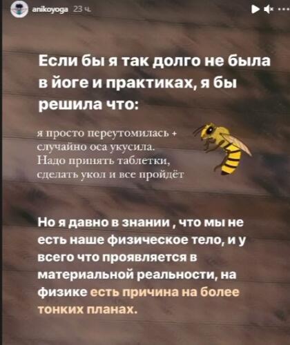 Инструктор по йоге из России нашла спасение у хиллеров и биоцентрологов после укуса осы