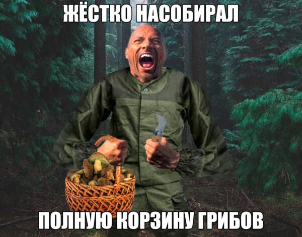 (без названия)