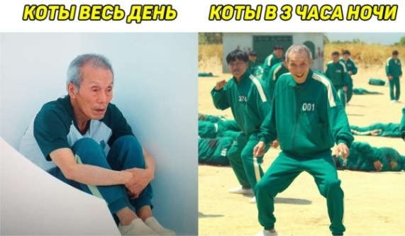 (без названия)