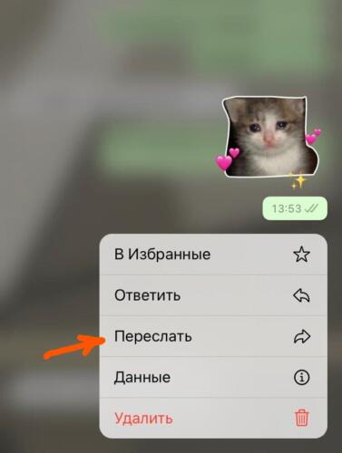 Как легко создать собственный стикер в веб-версии Whatsapp без лишних приложений